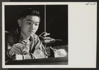[recto] Harry Ishigaki conducts an experiment in Chemistry in the laboratory of the Heart Mountain High School. ;  Photographer: Iwasaki, Hikaru ;  Heart Mountain, Wyoming.